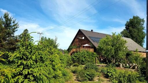 Dziewanna - Housity