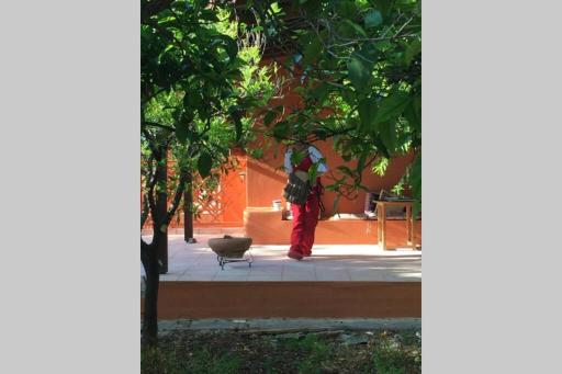 Tzitzikari, Private Cottage in a Citrus Garden - Housity