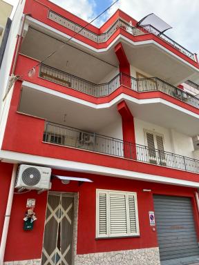 Casette Tulipano - Housity