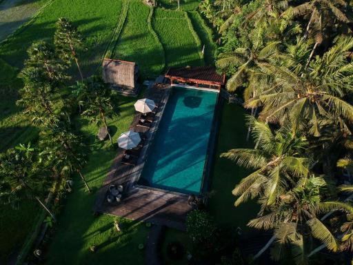 The Artini Dijiwa Ubud - Housity
