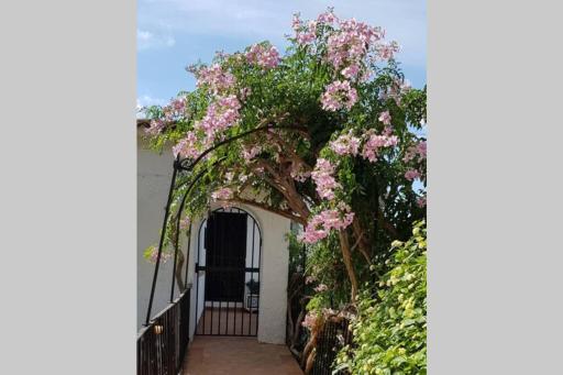 Fabulous refurbished apartment above private villa - Housity