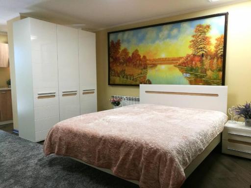 Apartment on Pushkinskaya 63 'Family' - Housity