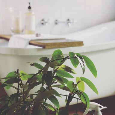 Treehouse Hideouts - Ground Level - Heygarth House Townhouse - Port of Echuca - Housity