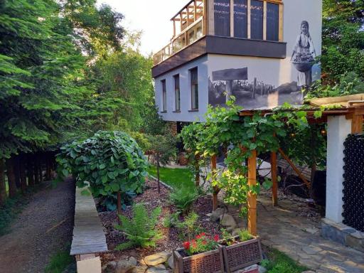 Dom na winnicy - Housity