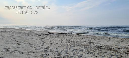 Apartamenty Sztutowo - Housity