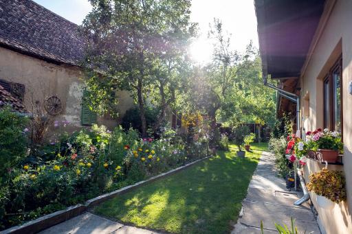 Villa Rihuini Eco Wine house Transylvania - Housity