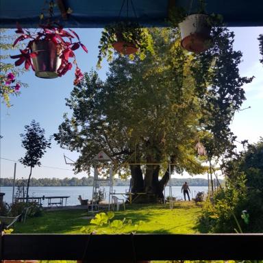 Dunavski Plicak- house on the Danube with a beautiful view - Housity