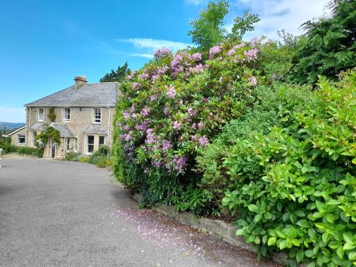 Fairwater Head - Housity