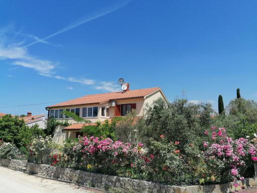 Apartments Maria - Housity