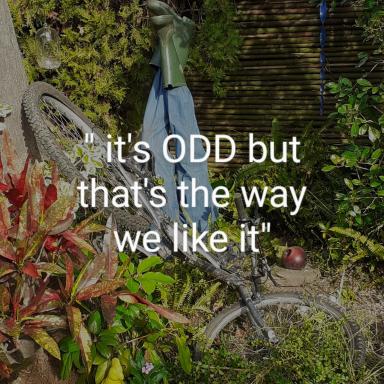 Vincentia Odd Cottage ( self catering) - Housity