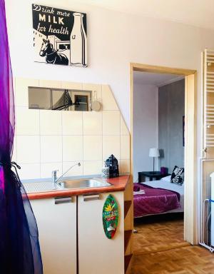 Mieszkanie w Srodmiesciu blisko rynku - Housity