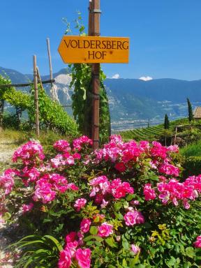 Voldersberghof - Housity