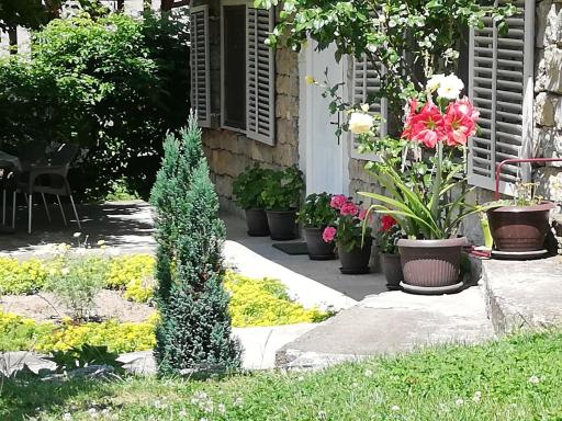 Apartment Jazz - Housity