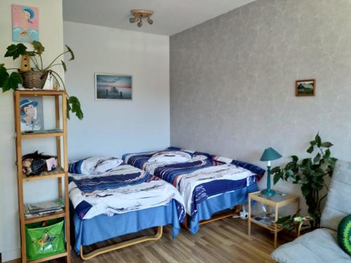 Rauhalantie Studio - Housity
