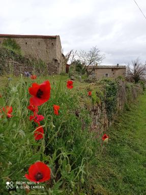la ferme de fenivou - Housity