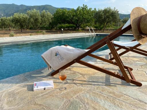 Villa Eleonas by the Sea with private pool - Housity