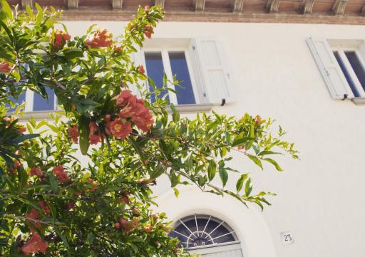 La casa di Montegiardino - Housity