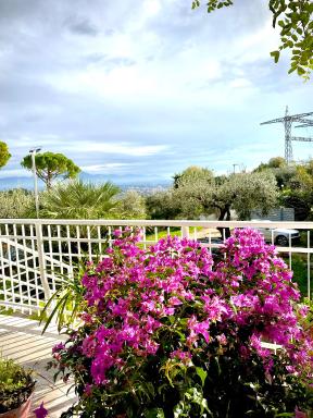 Villa Elisa - Housity
