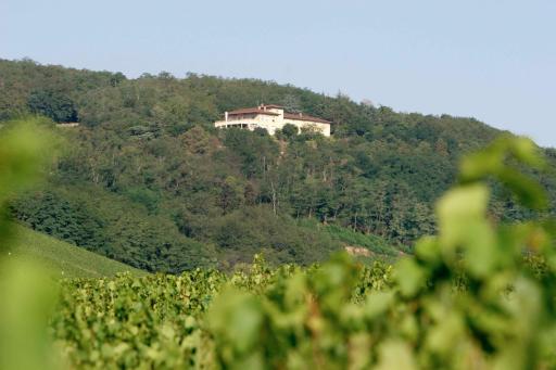 Auberge Les Hauts De Chenas - Housity