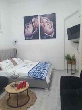 Tzimer Lana - Housity
