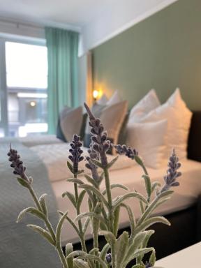 Holiday House Rasnov - Housity