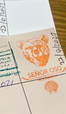 SEÑOR OSO - Housity