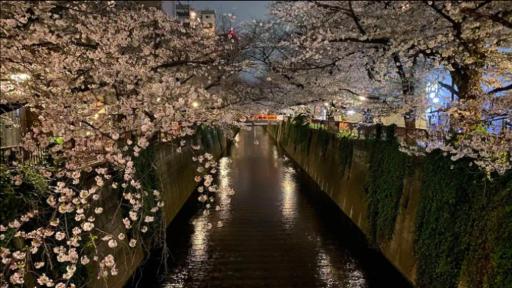 Tsunoya - Housity