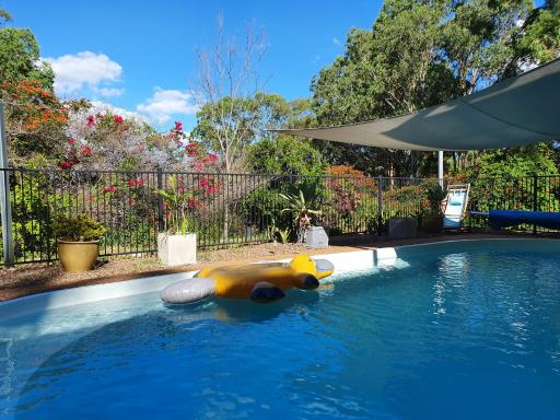 Gowrie Agapanthus - Housity