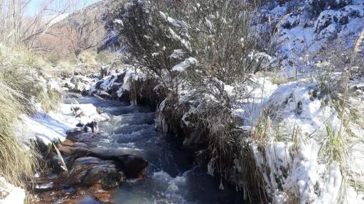 Cabaña Pura Vida - Housity
