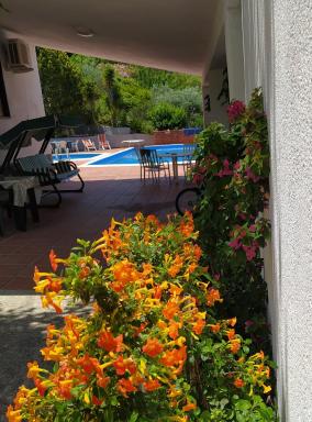 B&B Troisi - Housity