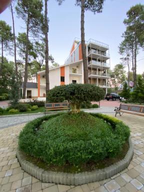 Buxus Hotel Shekvetili - Housity