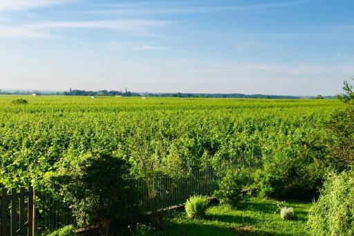 Appartement avec vue sur les vignes à Gevrey - Housity