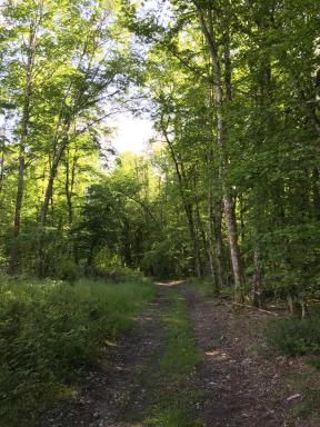 Studio dans un écrin de verdure - Housity