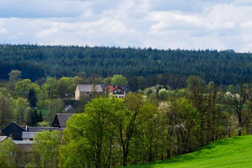 Pferdeparadies Wallengrün - Housity