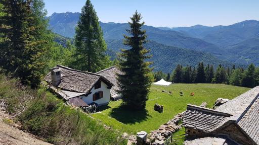 La Baita di Heidi - Housity