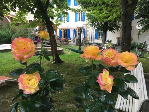 La Vie en Roses - Housity