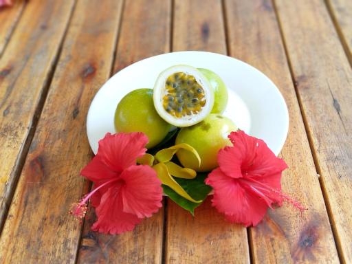 Passion-House - Housity