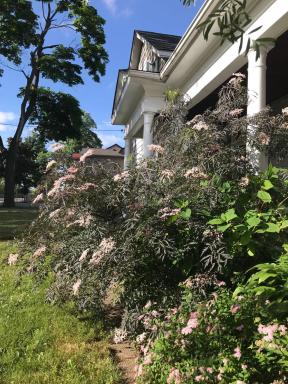 Niagara Vacation Homes Canada - Housity