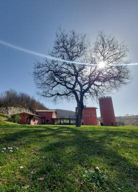 Agriturismo La Vita è Bella - Housity