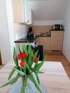 Apartment Bauer - Housity