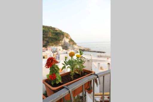 Casa Maadry - Housity