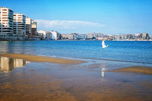 San Pascual 69 - Housity