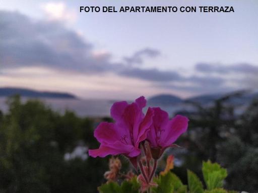 Rua Granxas, n 13, Piso con terraza o Estudio sin terraza - Housity