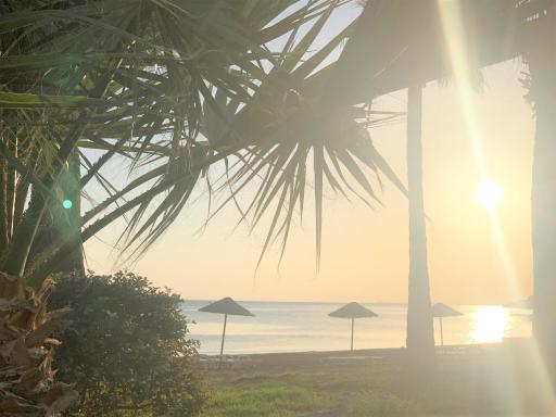 Sweetness Apartment By the Sea - Housity