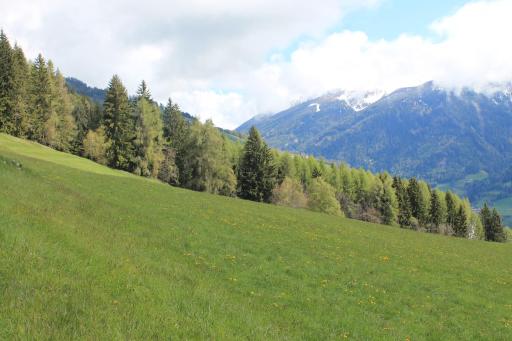 La Mansarda di Casa Vacanze La Vite - Housity
