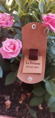 B&B La Terrazza - Housity