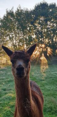 Aux murmures de la nature B&B - Housity