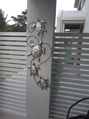 SeaTurtle - Housity