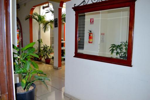 Hotel Bella Luz Centro Historico - Housity