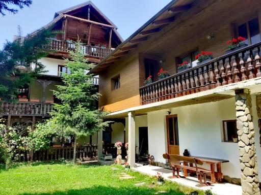 Pensiunea Andrei - Housity